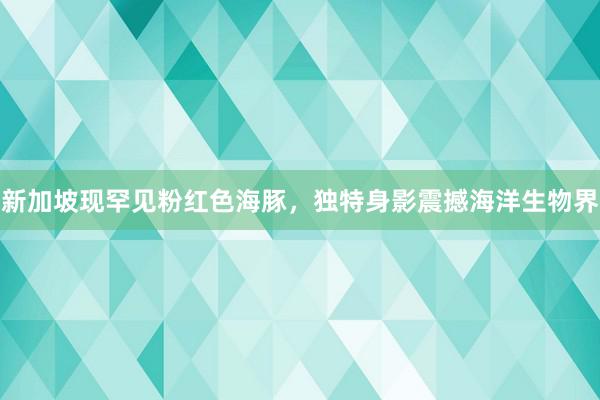 新加坡现罕见粉红色海豚，独特身影震撼海洋生物界